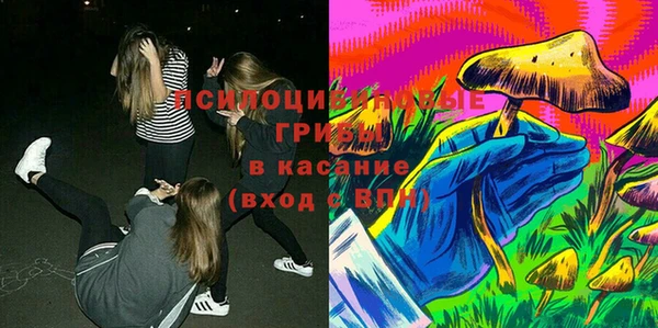 молекула духа Бронницы