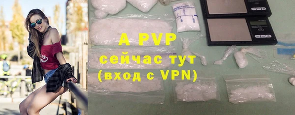 молекула духа Бронницы