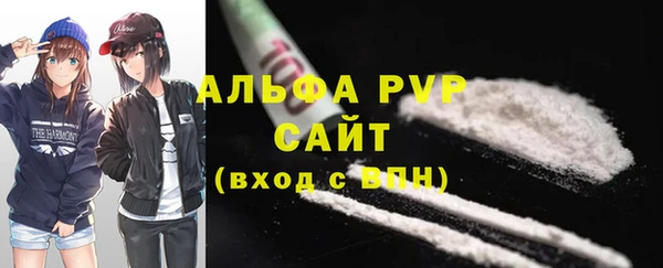 молекула духа Бронницы