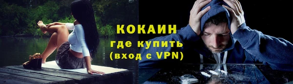 молекула духа Бронницы