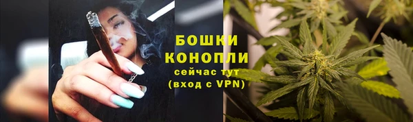 молекула духа Бронницы