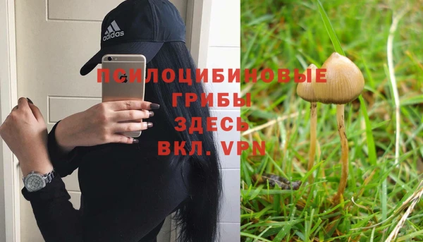 винт Бородино