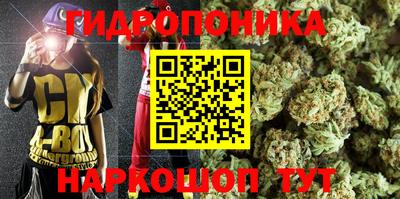 МДПВ Будённовск