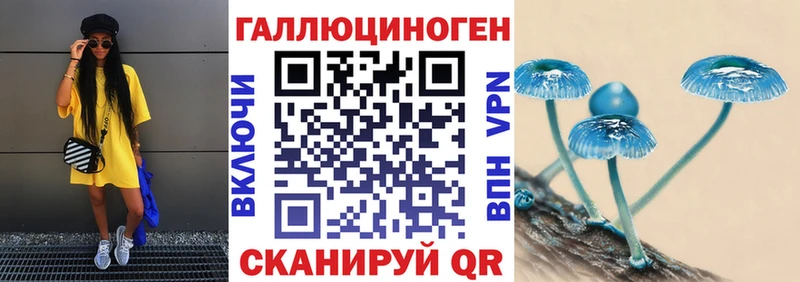 Псилоцибиновые грибы Cubensis  Гулькевичи 