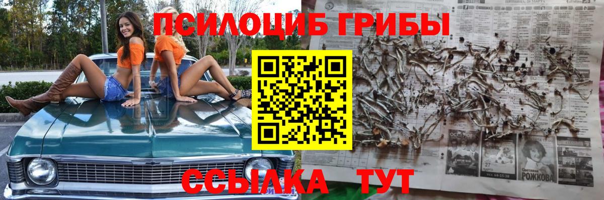 где купить   Галлюциногенные грибы MAGIC MUSHROOMS  Гулькевичи  Псилоцибиновые грибы Magic Shrooms 