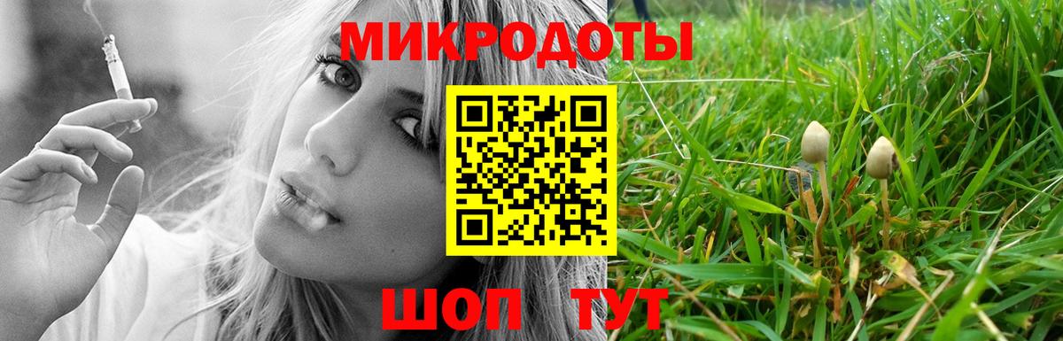 Псилоцибиновые грибы Cubensis Гулькевичи